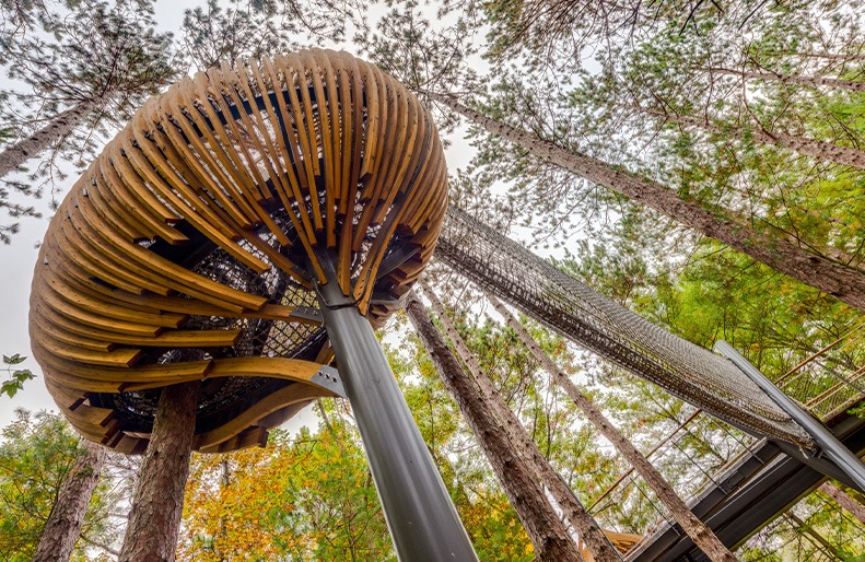 Whiting Forest Canopy Walk in Midland, Michigan