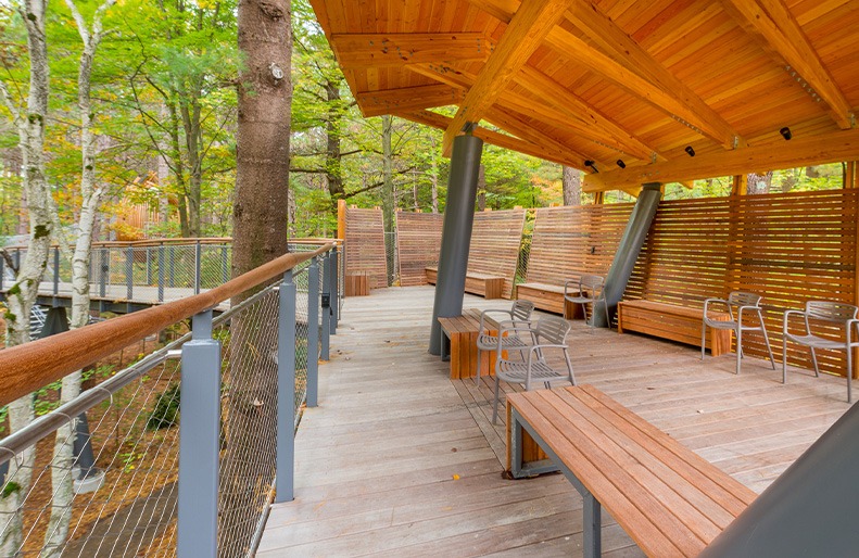 Whiting Forest Canopy Walk in Midland, Michigan