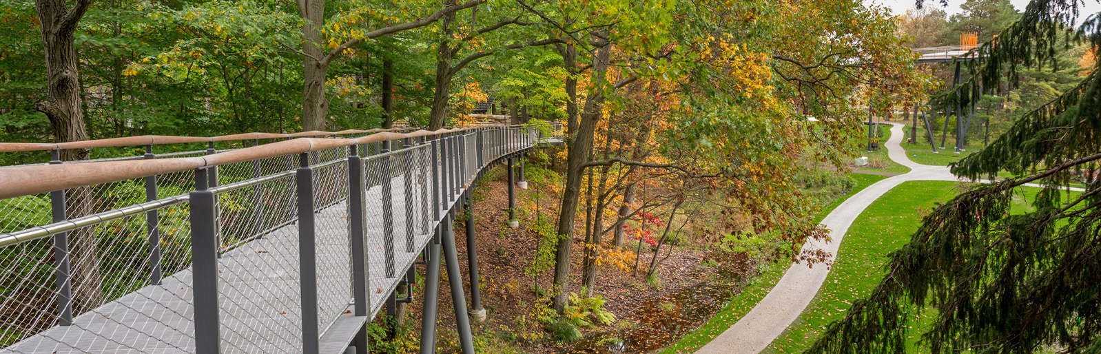 Whiting Forest Canopy Walk in Midland, Michigan