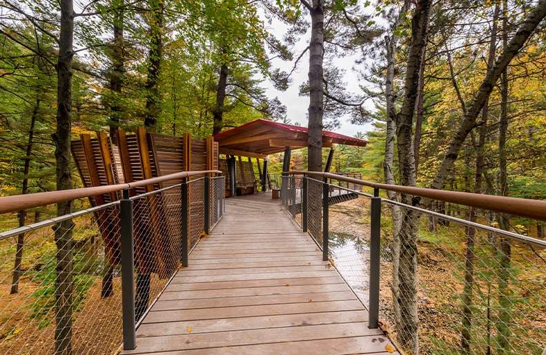 Whiting Forest Canopy Walk in Midland, Michigan