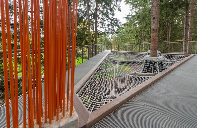 Whiting Forest Canopy Walk in Midland, Michigan